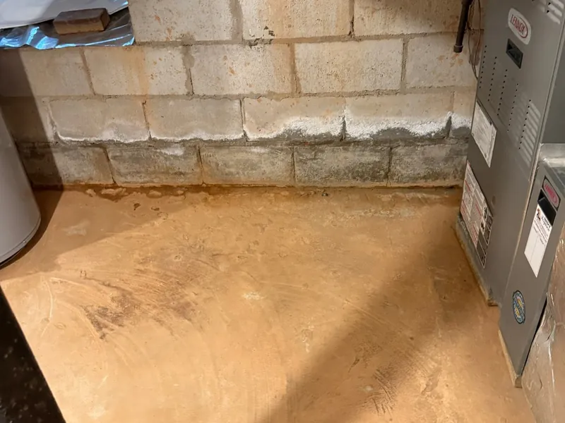 Basement wall with moisture staining