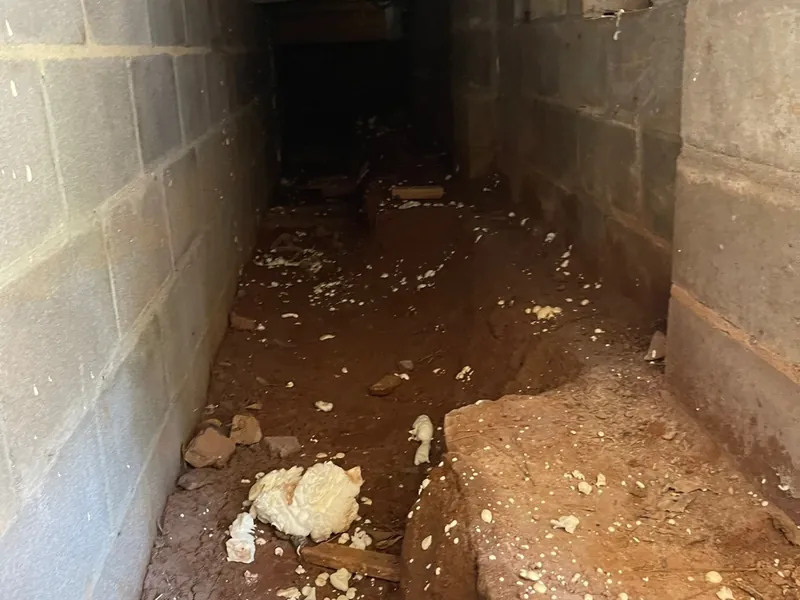 Dirty, moisture-damaged crawlspace before repair
